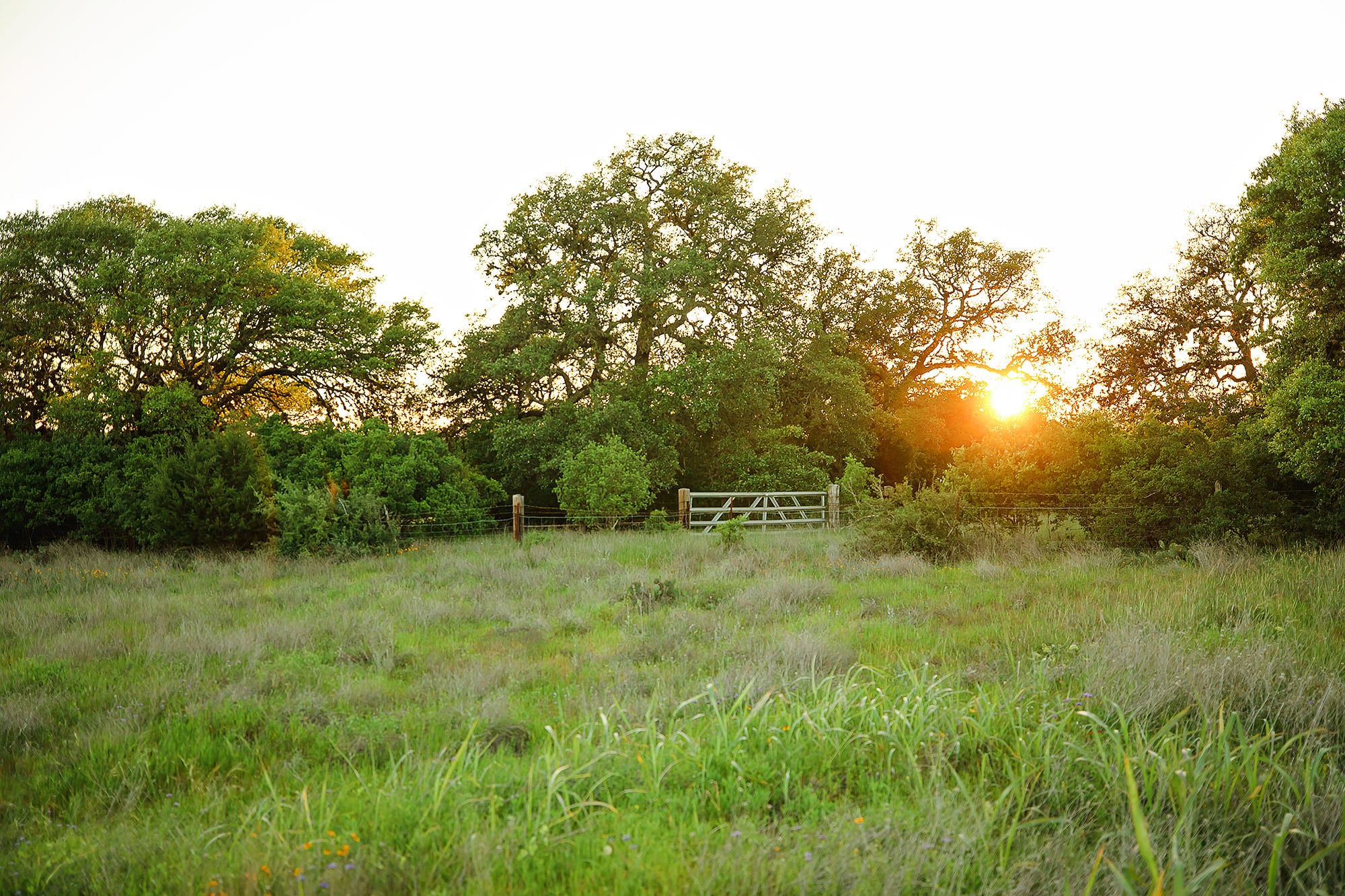 Texas Hill Country land at sunset in Dripping Springs, Texas