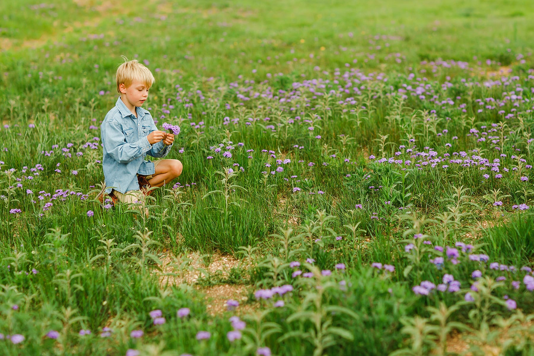 boy picking wildflowers in Dripping Springs