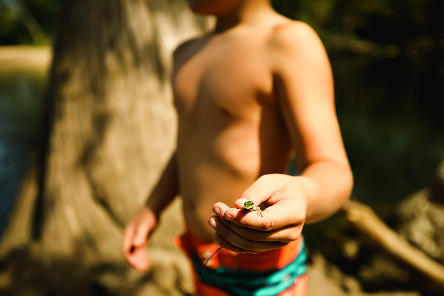 McKinney Falls State Park in Austin, Texas a kid holding a lizard