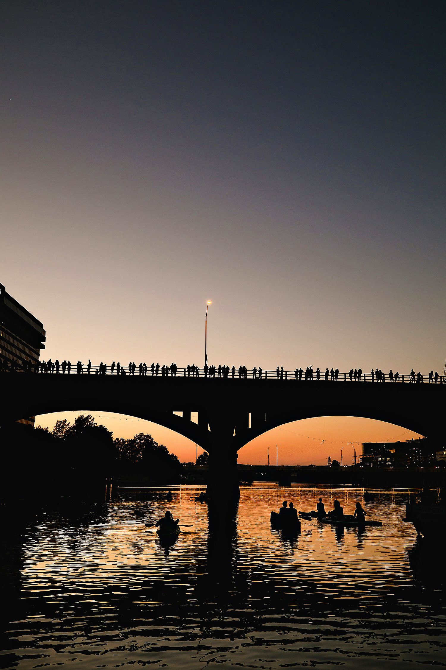 Congress Bridge Bat Tour