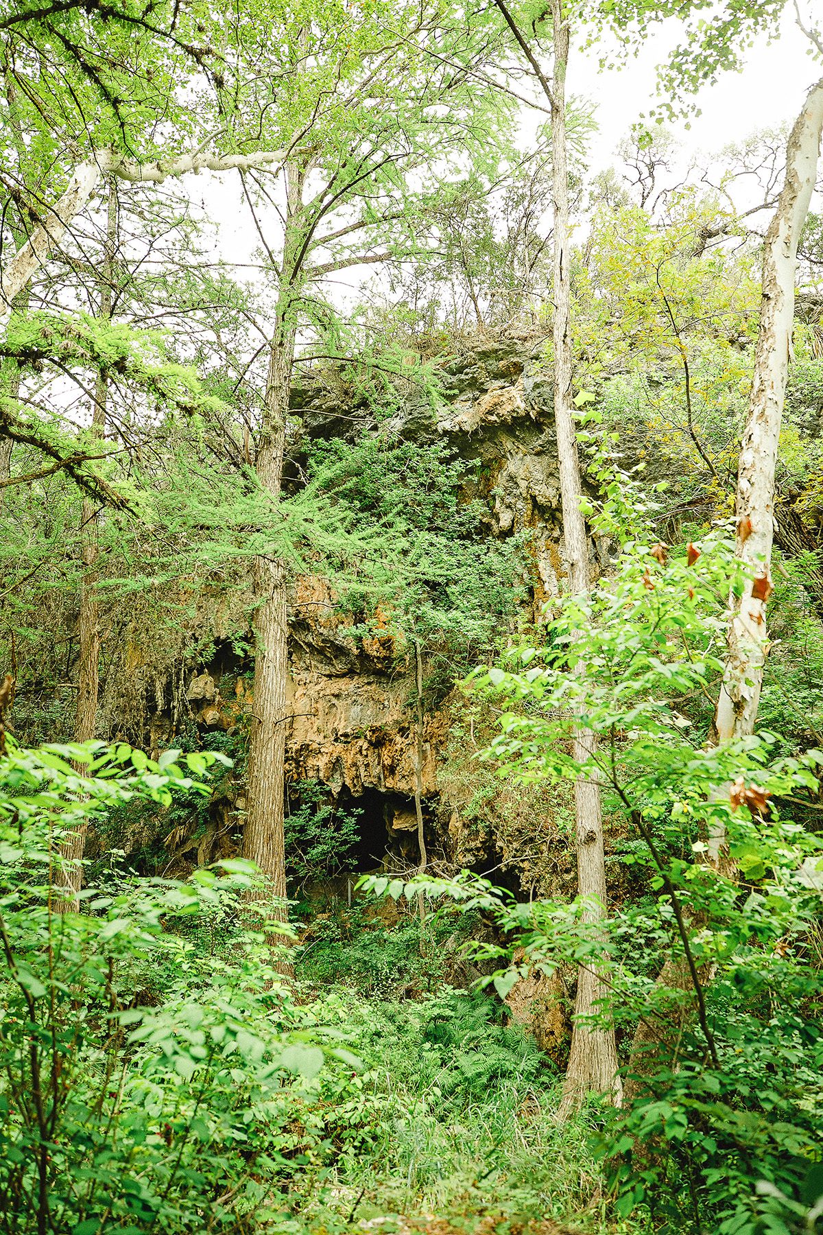 Westcave Preserve Dripping Springs  tour 