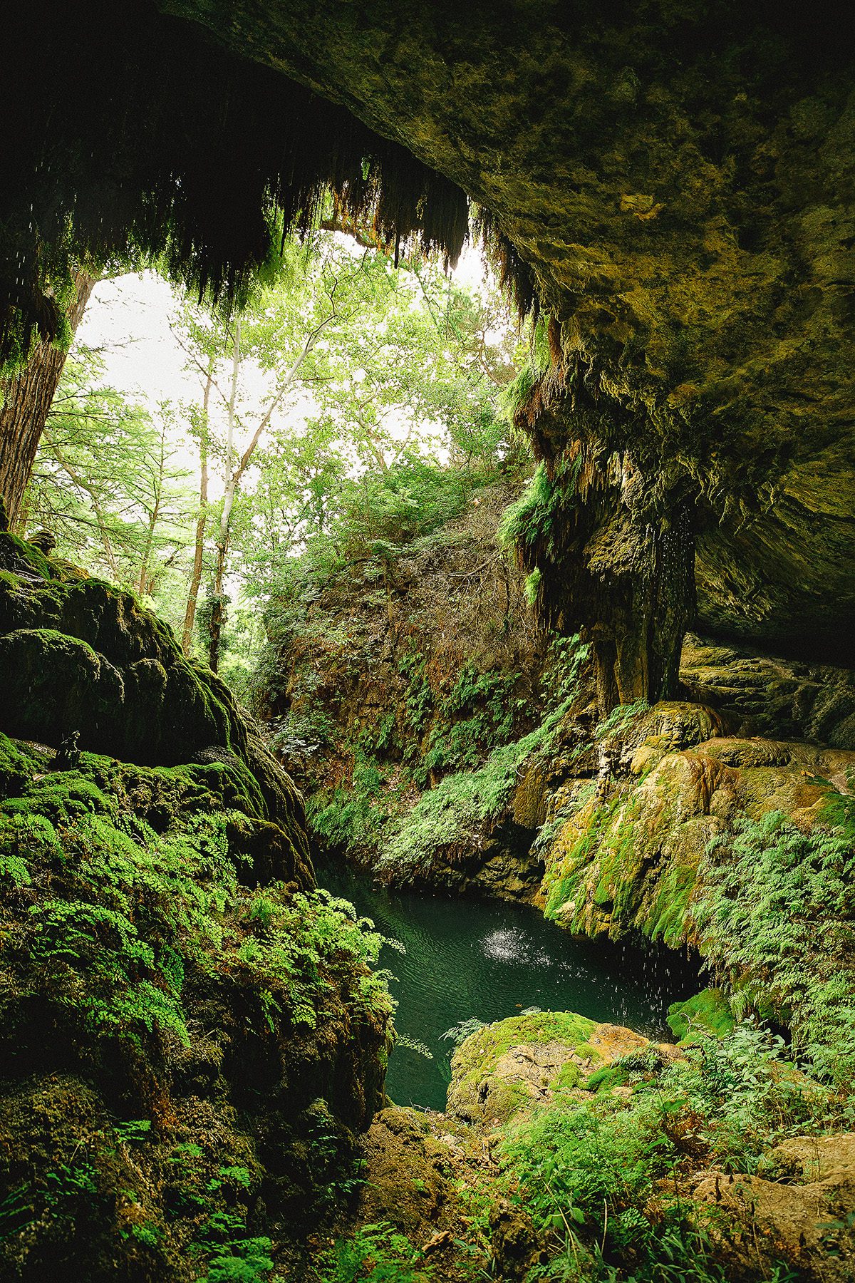Westcave Preserve Dripping Springs Grotto