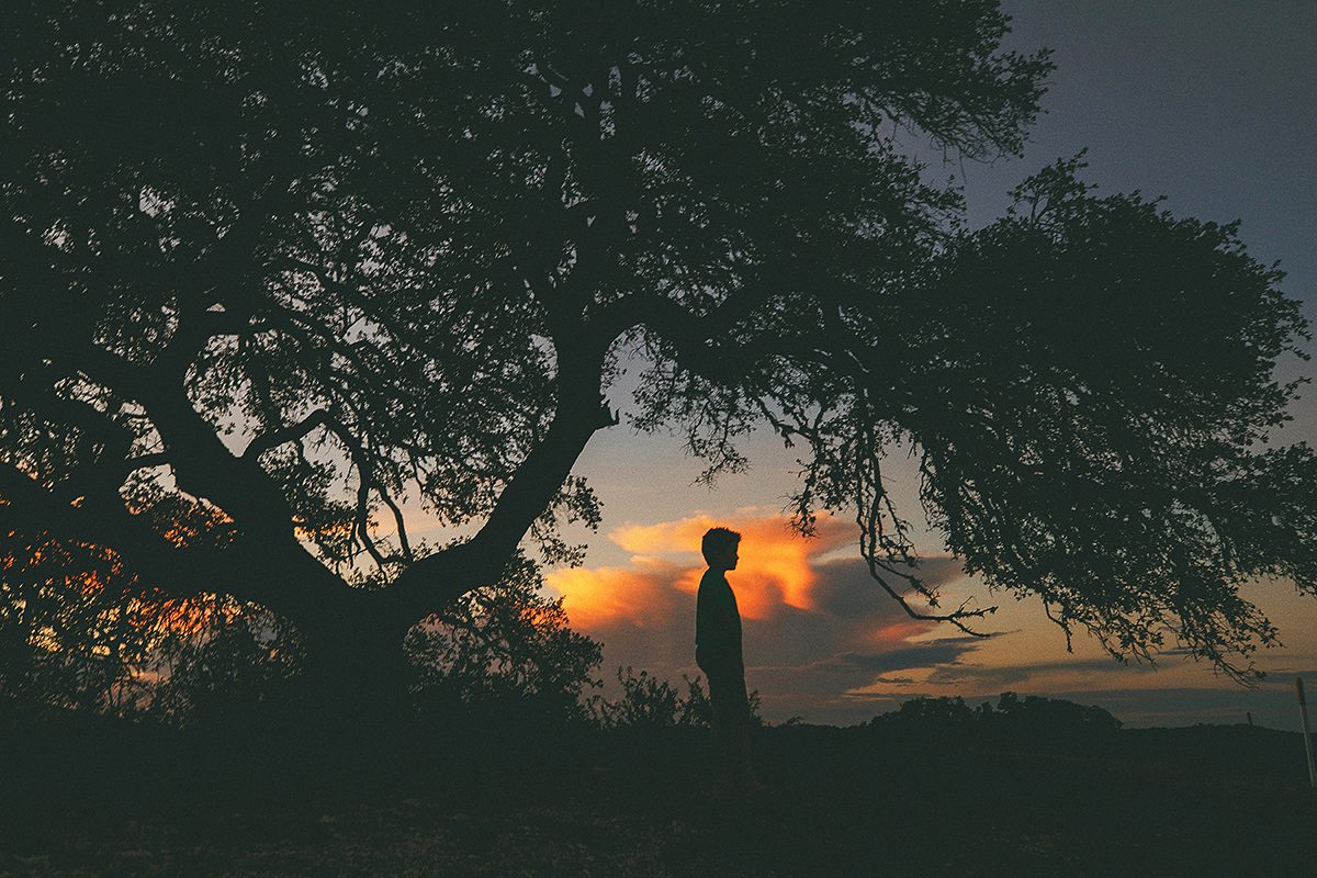 Silhouette of boy by Century Oak at sunset in Ranch Park Dripping Springs
