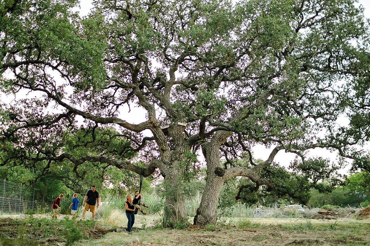 Mamula Family under an oak in Dripping Springs Texas