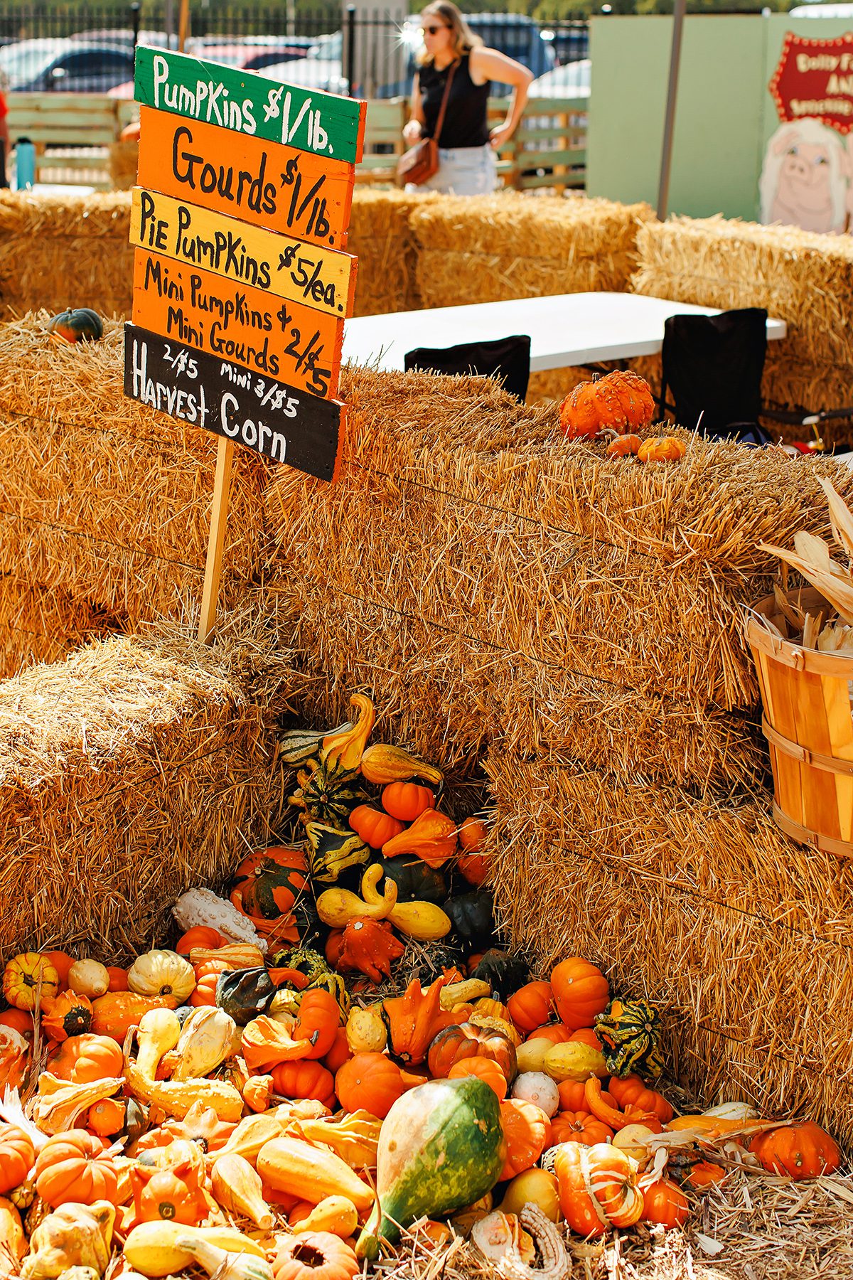 Dripping Springs Pumpkin Festival at Founders Park and Poundhouse Museum