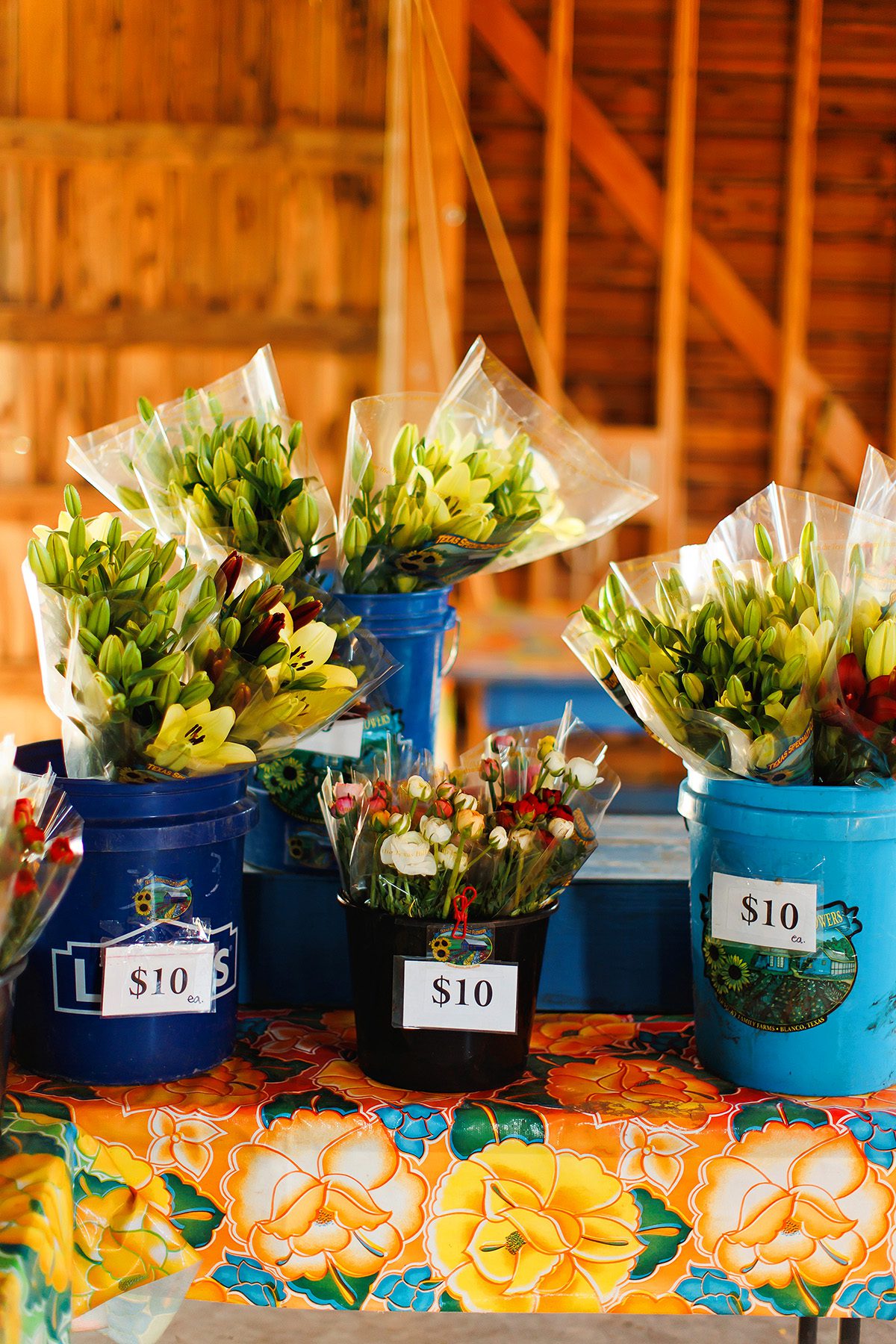 Arnosky Family Farm blue barn with flowers for sale in Wimberley, Texas 