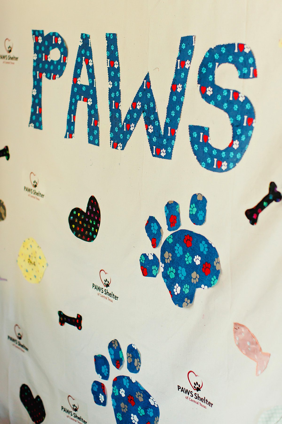 PAWS animal shelter Dripping Springs