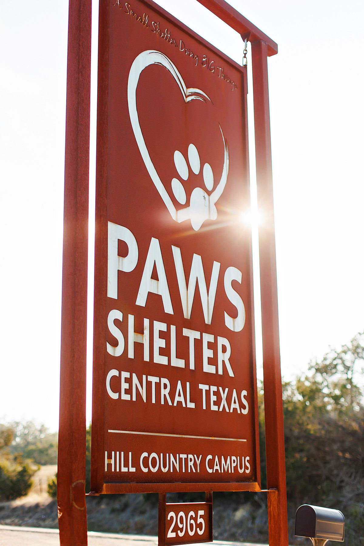 Paws Shelter Dripping Springs