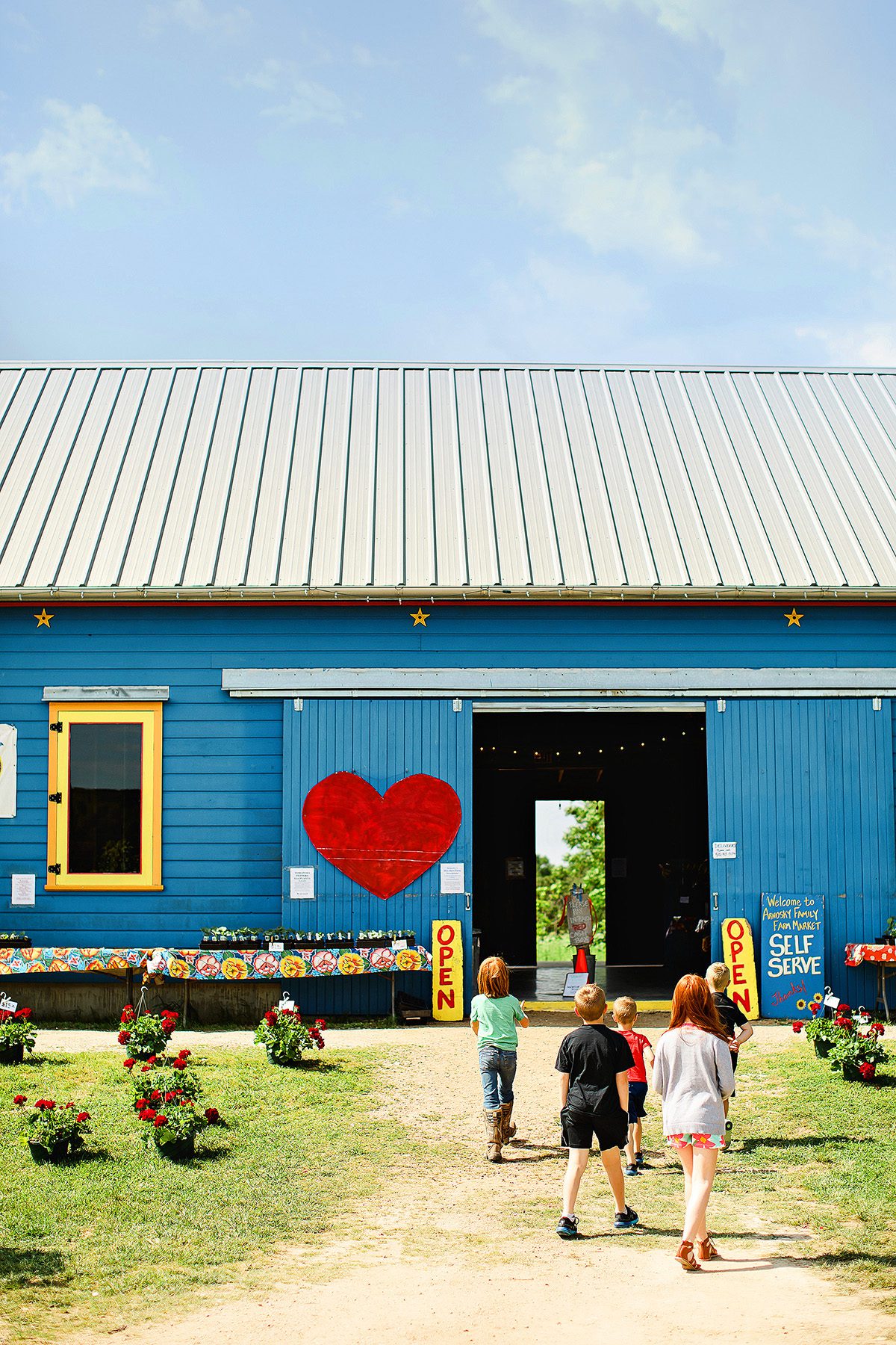 Arnosky Family Farm blue barn in Wimberley, Texas 