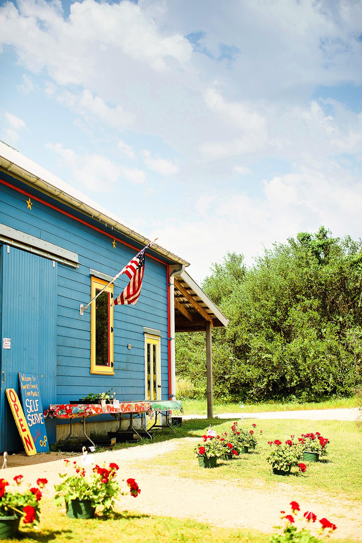 Arnosky Family Farm blue barn with american flag