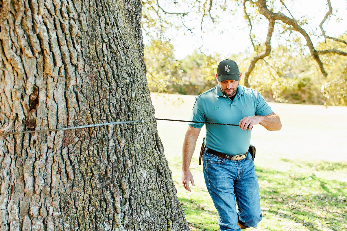 Board Certified Master Arborist Kevin Belter with Arbor Care and Consulting measuring the ancient Oak at Founder's Park in Dripping Springs, Texas