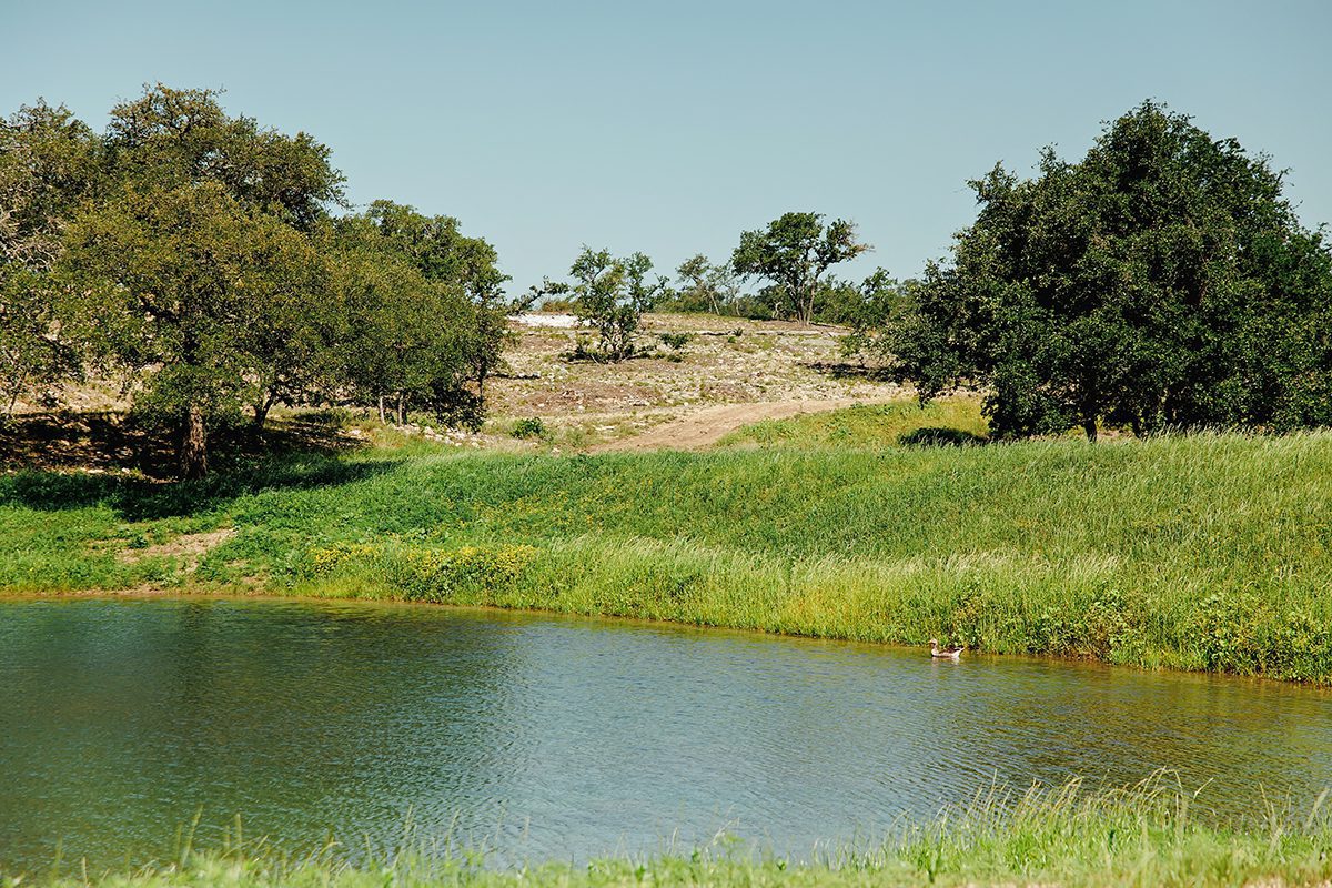 Maddalena Ranch Dripping Springs 10 acre neighborhood development ag exempt with Axis Deer